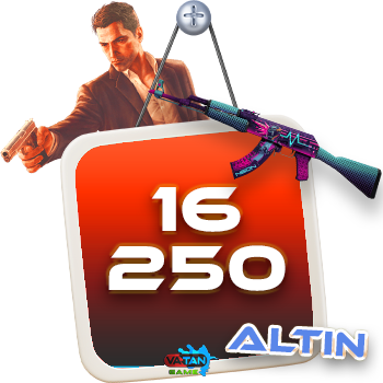 16250 Zula altın