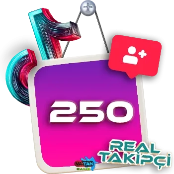 250 TikTok Takipçi