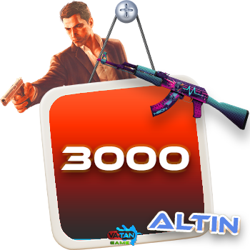 3000 Zula altın