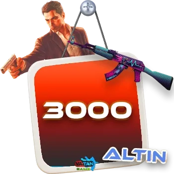 3000 Zula altın