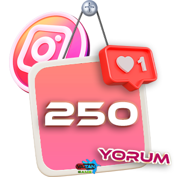 İnstagram 250 yorum