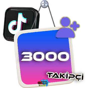 TikTok 3000 Takipçi