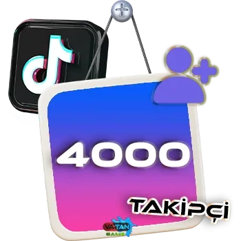 TikTok 4000 Takipçi
